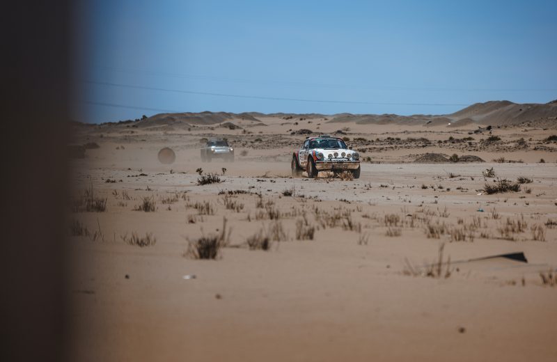 Dakhla – Chami — 50